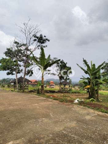 Kavling Tanah Dijual di Tanjungsari, Bogor, Luas 100m2 Area Strategis Kavling Tanah Dijual di Tanjungsari, Bogor, Luas 100m2 Area Strategis