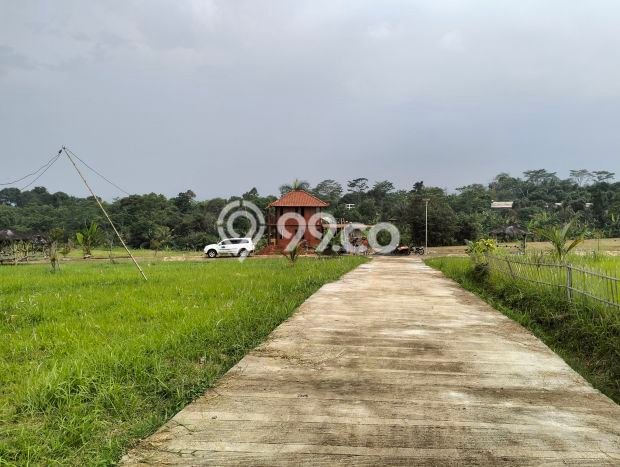 Kavling Tanah Dijual di Tanjungsari, Bogor, Luas 100m2 Area Strategis Kavling Tanah Dijual di Tanjungsari, Bogor, Luas 100m2 Area Strategis