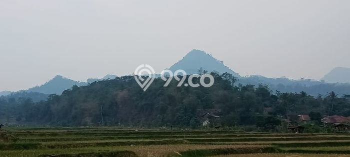 Lahan Dijual Lokasi Tanjungsari, Bogor dengan Luas Tanah 23000m2 dan Status SHM Lahan Dijual Lokasi Tanjungsari, Bogor dengan Luas Tanah 23000m2 dan Status SHM