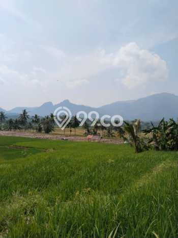 Tanah di Tanjungsari, Bogor Luas 1000m2 Dijual Segera Tanah di Tanjungsari, Bogor Luas 1000m2 Dijual Segera