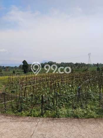 Tanah di Tanjungsari, Bogor Luas 1000m2 Dijual Segera Tanah di Tanjungsari, Bogor Luas 1000m2 Dijual Segera