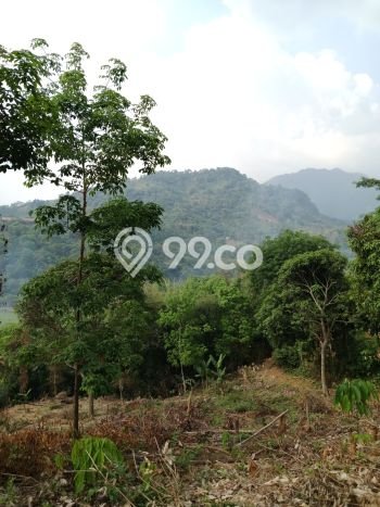 Kavling Tanah Dijual di Tanjungsari Bogor Spesifikasi 1000m2 Kavling Tanah Dijual di Tanjungsari Bogor Spesifikasi 1000m2