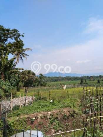 Tanah di Tanjungsari, Bogor Luas 1000m2 Dijual Segera Tanah di Tanjungsari, Bogor Luas 1000m2 Dijual Segera