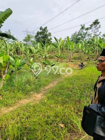 Tanah Kavling di Tanjungsari Dijual dengan Luas 5000m2 Tanah Kavling di Tanjungsari Dijual dengan Luas 5000m2