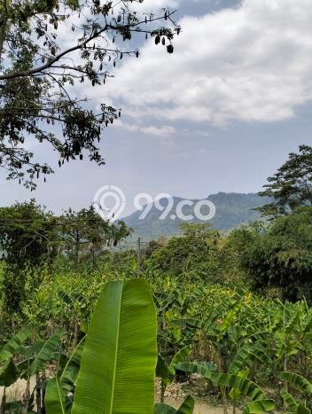 Dijual Tanah di Tanjungsari Bogor Luas 3000m2 SHM Dijual Tanah di Tanjungsari Bogor Luas 3000m2 SHM