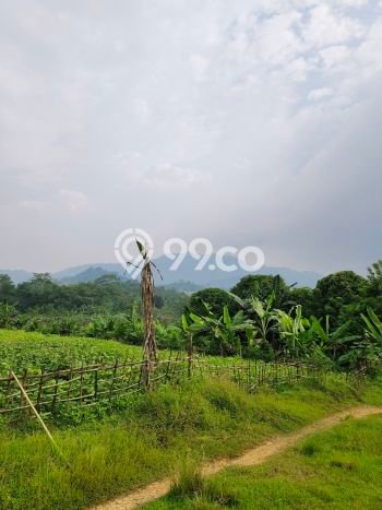 Tanah Kavling di Tanjungsari Dijual dengan Luas 5000m2 Tanah Kavling di Tanjungsari Dijual dengan Luas 5000m2