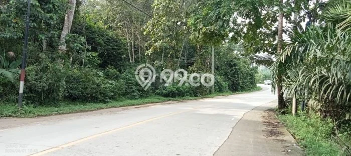 Tanah Dijual Lokasi Sepaku, Penajam Paser Utara dengan Luas Tanah 17280m2 dan Status SHM Tanah Dijual Lokasi Sepaku, Penajam Paser Utara dengan Luas Tanah 17280m2 dan Status SHM