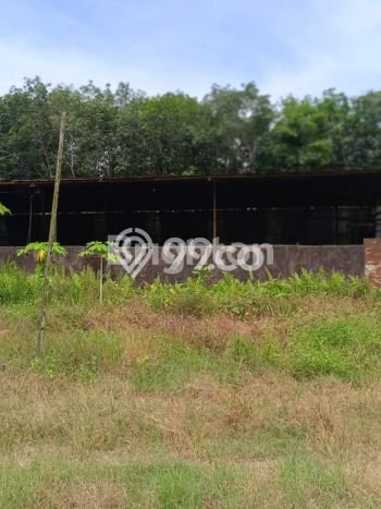 Kavling Tanah Dijual di Tenggarong Seberang Kutai Kartanegara Spesifikasi 10000m2 Kavling Tanah Dijual di Tenggarong Seberang Kutai Kartanegara Spesifikasi 10000m2