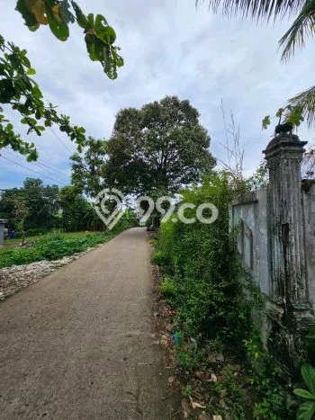 Tanah Komersial Dijual di Bojong Gede Bogor 1213m2 Tanah Komersial Dijual di Bojong Gede Bogor 1213m2