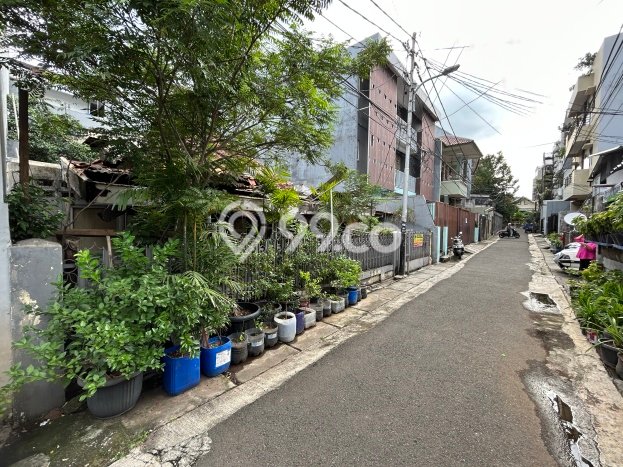 Rumah Luxury Modern Tanpa Renovasi di Bendungan Hilir Jakarta Pusat Rumah Luxury Modern Tanpa Renovasi di Bendungan Hilir Jakarta Pusat