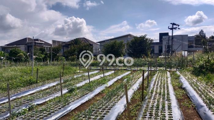 Tanah Strategis di Setiabudi, Luas 1133m2m², Cocok untuk Investasi Tanah Strategis di Setiabudi, Luas 1133m2m², Cocok untuk Investasi