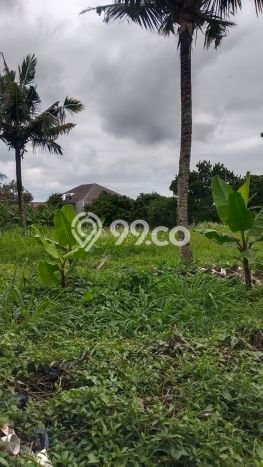 Tanah Dijual di Bandung Seluas 2000m2 Strategis Tanah Dijual di Bandung Seluas 2000m2 Strategis