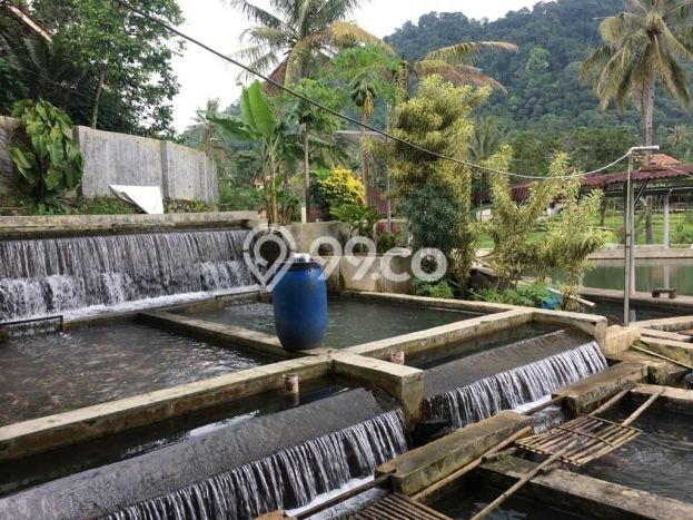 Tanah Lokasi Strategis Kawasan Subang, Luas 1032m², Lingkungan Asri, Akses Subang, Subang, Subang Tanah Lokasi Strategis Kawasan Subang, Luas 1032m², Lingkungan Asri, Akses Subang, Subang, Subang