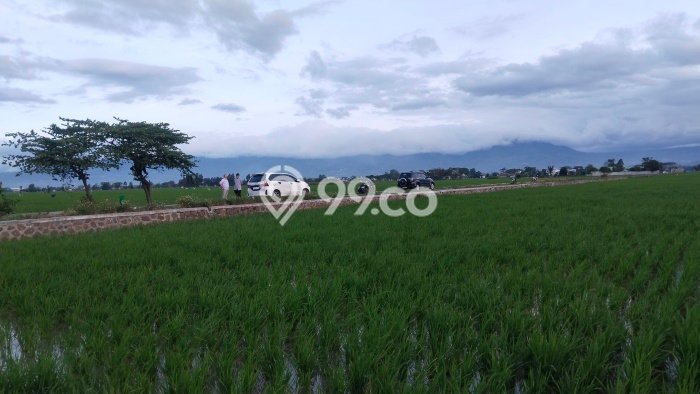 Tanah Dijual Lokasi Rancaekek Bandung - Tanah Dijual Lokasi Rancaekek Bandung -