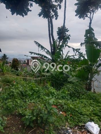 Kavling Tanah di Cimahi Utara Dijual Luas 560m2 Legalitas SHM Kavling Tanah di Cimahi Utara Dijual Luas 560m2 Legalitas SHM