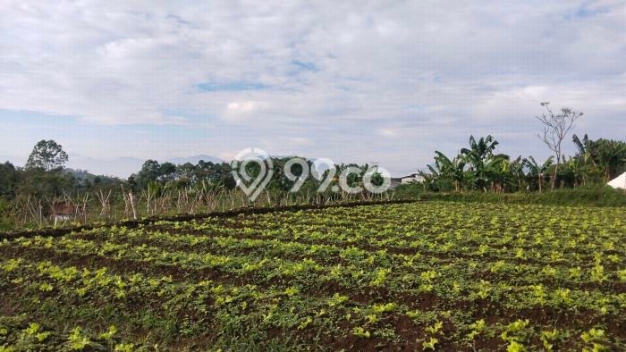 Tanah Dijual di Bandung Seluas 6000m2 Strategis Tanah Dijual di Bandung Seluas 6000m2 Strategis