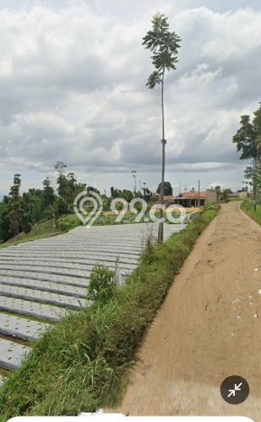 Untuk Dijual Tanah di Padalarang Bandung Barat Luas 290m2 AJB Untuk Dijual Tanah di Padalarang Bandung Barat Luas 290m2 AJB
