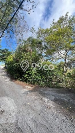 Dijual Tanah Lokasi Jimbaran, Badung Seluas 1000m2 Dijual Tanah Lokasi Jimbaran, Badung Seluas 1000m2