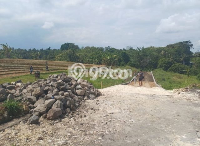 Tanah Kavling Dijual di Klecung, Tabanan dengan Luas Tanah 1600m2 Tanah Kavling Dijual di Klecung, Tabanan dengan Luas Tanah 1600m2