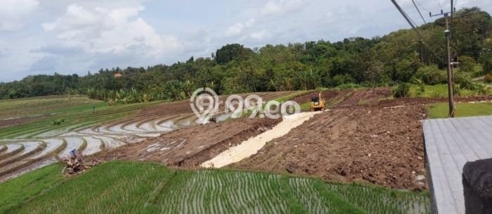 Tanah Kavling Dijual di Klecung, Tabanan dengan Luas Tanah 1600m2 Tanah Kavling Dijual di Klecung, Tabanan dengan Luas Tanah 1600m2