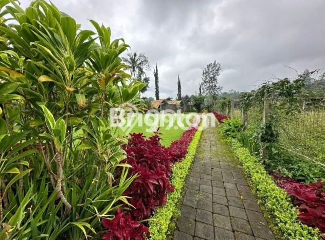 DIJUAL! Vila di , Area 17690m2m², Akses Mudah Pusat Kota DIJUAL! Vila di , Area 17690m2m², Akses Mudah Pusat Kota