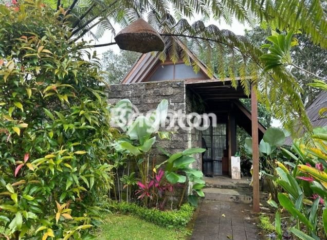 DIJUAL! Vila di , Area 17690m2m², Akses Mudah Pusat Kota DIJUAL! Vila di , Area 17690m2m², Akses Mudah Pusat Kota