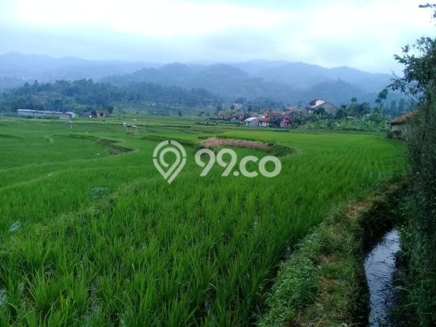Tanah di Ciwidey, Bandung Luas 25500m2 Dijual Segera Tanah di Ciwidey, Bandung Luas 25500m2 Dijual Segera