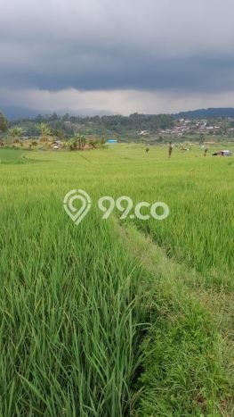 Tanah di Ciwidey, Bandung Luas 25500m2 Dijual Segera Tanah di Ciwidey, Bandung Luas 25500m2 Dijual Segera