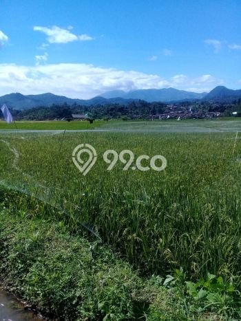Tanah di Ciwidey, Bandung Luas 25500m2 Dijual Segera Tanah di Ciwidey, Bandung Luas 25500m2 Dijual Segera