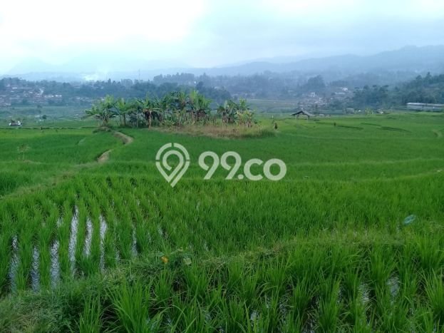 Tanah di Ciwidey, Bandung Luas 25500m2 Dijual Segera Tanah di Ciwidey, Bandung Luas 25500m2 Dijual Segera