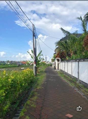 Dijual Hunian Mewah dengan Fasilitas Sekitar Lengkap di Kuta, Badung Dijual Hunian Mewah dengan Fasilitas Sekitar Lengkap di Kuta, Badung
