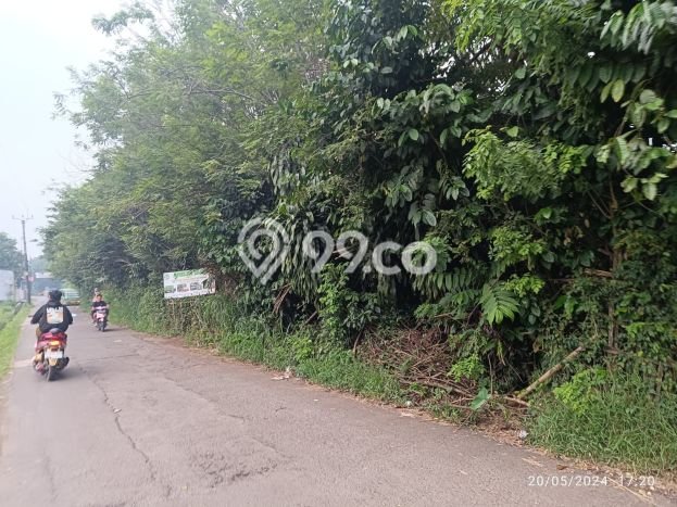 Tanah di Dramaga, Bogor Luas 5000m2 Dijual Segera Tanah di Dramaga, Bogor Luas 5000m2 Dijual Segera