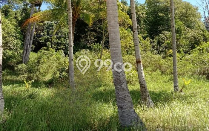 LOKASI STRATEGIS! Tanah Kawasan Batam Kota, Luas 250000m2m², Lokasi Berkembang, Cocok untuk Hunian LOKASI STRATEGIS! Tanah Kawasan Batam Kota, Luas 250000m2m², Lokasi Berkembang, Cocok untuk Hunian