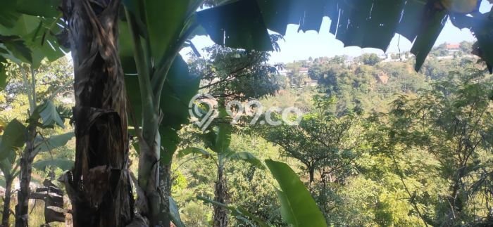 Tanah Kavling untuk Dijual di Lembang Bandung Barat 2300m2 Tanah Kavling untuk Dijual di Lembang Bandung Barat 2300m2