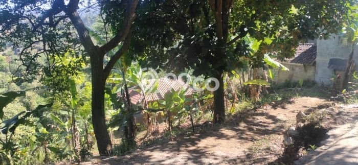 Tanah Kavling untuk Dijual di Lembang Bandung Barat 2300m2 Tanah Kavling untuk Dijual di Lembang Bandung Barat 2300m2