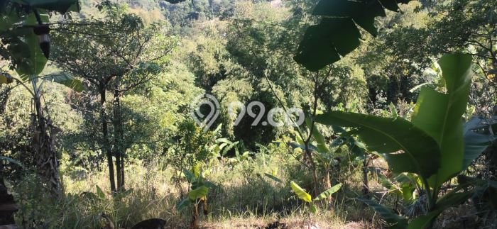 Tanah Kavling untuk Dijual di Lembang Bandung Barat 2300m2 Tanah Kavling untuk Dijual di Lembang Bandung Barat 2300m2