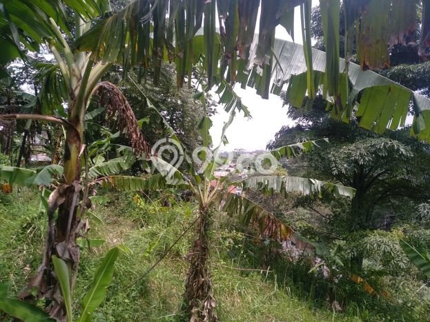 Tanah Kavling untuk Dijual di Lembang Bandung Barat 2300m2 Tanah Kavling untuk Dijual di Lembang Bandung Barat 2300m2