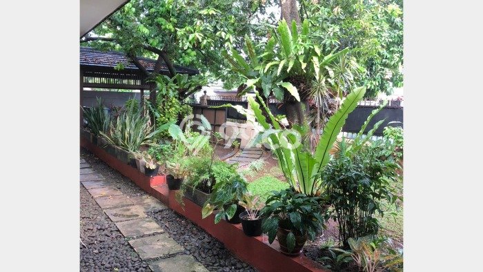 Disewakan Rumah Murah di Cipete Jakarta Selatan Punya 5 Kamar Tidur Disewakan Rumah Murah di Cipete Jakarta Selatan Punya 5 Kamar Tidur
