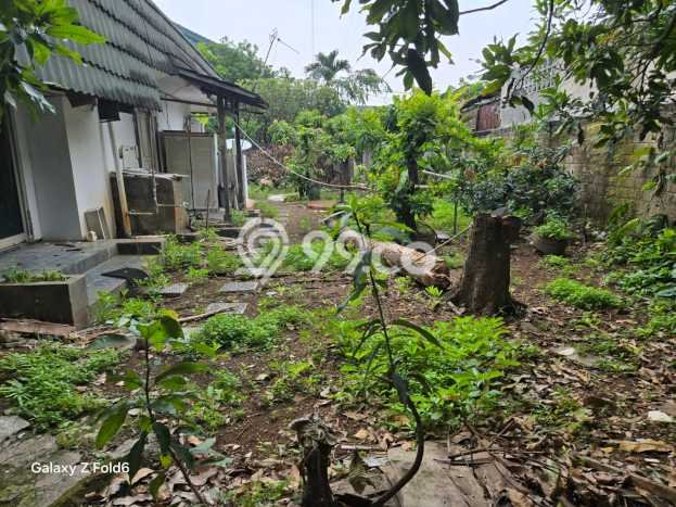 Rumah Luxury Modern Siap Huni di Bendungan Hilir Jakarta Pusat Rumah Luxury Modern Siap Huni di Bendungan Hilir Jakarta Pusat