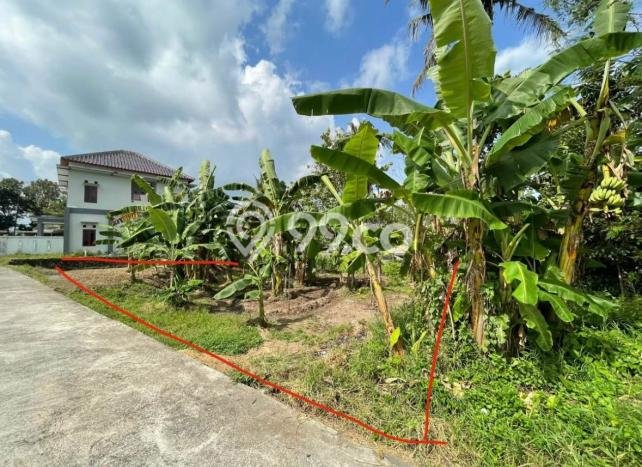 Kavling Tanah di Ngaglik Dijual Luas 750m2 Legalitas SHM Kavling Tanah di Ngaglik Dijual Luas 750m2 Legalitas SHM