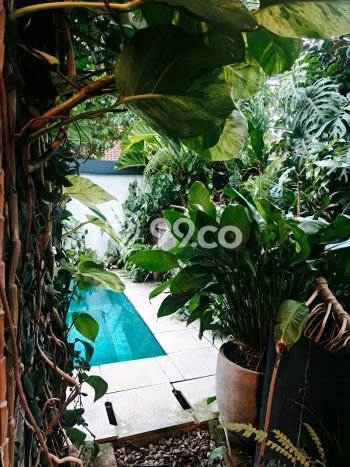 Dijual Rumah Luas Elegan Dengan View Cantik di Bambu Apus, Jakarta Timur Dijual Rumah Luas Elegan Dengan View Cantik di Bambu Apus, Jakarta Timur