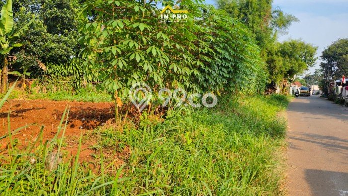 Jarang Ada! Tanah di Pagedangan Punya Luas 600m2 AJB Jarang Ada! Tanah di Pagedangan Punya Luas 600m2 AJB