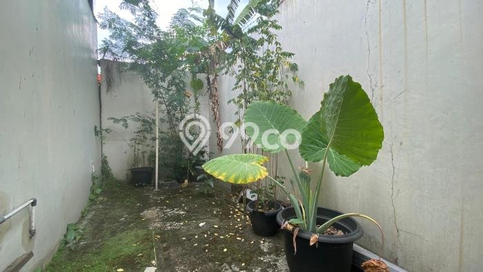 For Sale Rumah 3 Kamar Lokasi Ideal Bagus dan Strategis di Bekasi Utara For Sale Rumah 3 Kamar Lokasi Ideal Bagus dan Strategis di Bekasi Utara