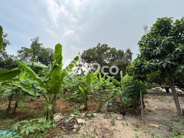 Tanah Dijual Lokasi Tambun Selatan Bekasi SHM Tanah Dijual Lokasi Tambun Selatan Bekasi SHM