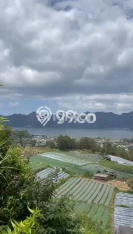 Tanah Siap Pakai Disewakan di Kintamani, Bangli, Luas 10000m2 Tanah Siap Pakai Disewakan di Kintamani, Bangli, Luas 10000m2