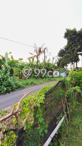 Tanah Dijual Lokasi Strategis di Tabanan dengan Luas 319m2 Tanah Dijual Lokasi Strategis di Tabanan dengan Luas 319m2