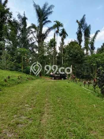 Tanah Strategis Dijual di Penebel Tabanan 500m2 Tanah Strategis Dijual di Penebel Tabanan 500m2