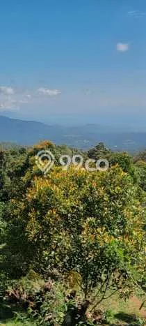 Dijual Tanah Lokasi Pupuan, Gianyar Seluas 40000m2 Dijual Tanah Lokasi Pupuan, Gianyar Seluas 40000m2