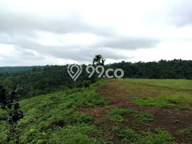 Tanah Strategis Dijual di Penebel Tabanan 500m2 Tanah Strategis Dijual di Penebel Tabanan 500m2