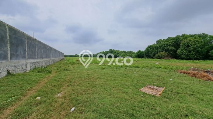 Dijual Tanah Lokasi Kapuk Muara, Jakarta Utara Seluas 100000m2 Dijual Tanah Lokasi Kapuk Muara, Jakarta Utara Seluas 100000m2